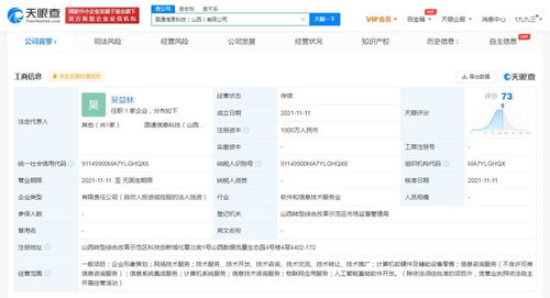 軟件開發(fā) 過程、挑戰(zhàn)與未來趨勢(shì)